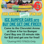 Ice Bumper Cars Buy One Get One FREE for Family Fun Day!
